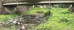 ツキノワグマの出没した大谷川（岐阜県揖斐川町）