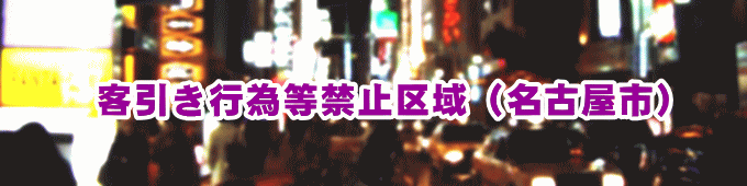 客引き行為の禁止