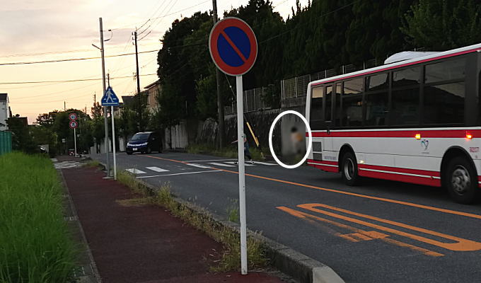 対向車線の車からバスが死角になり