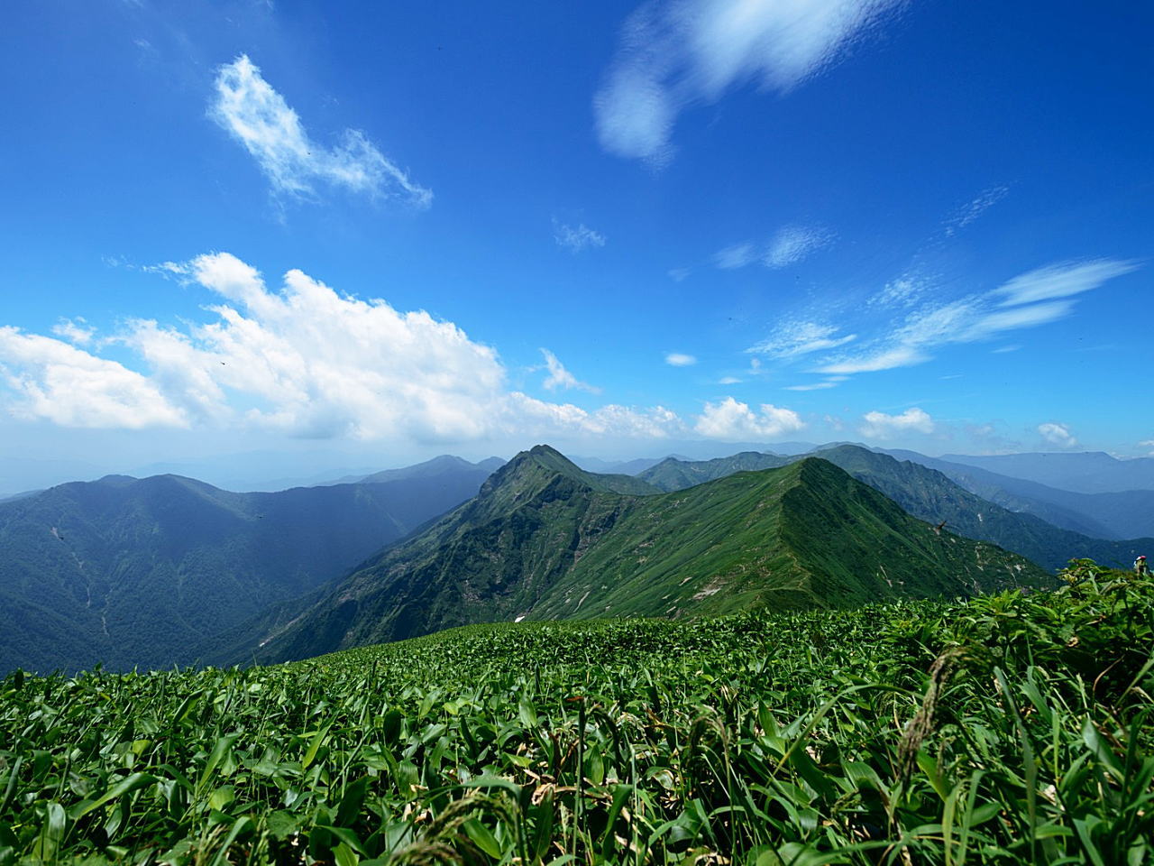 夏と冬の気温予想