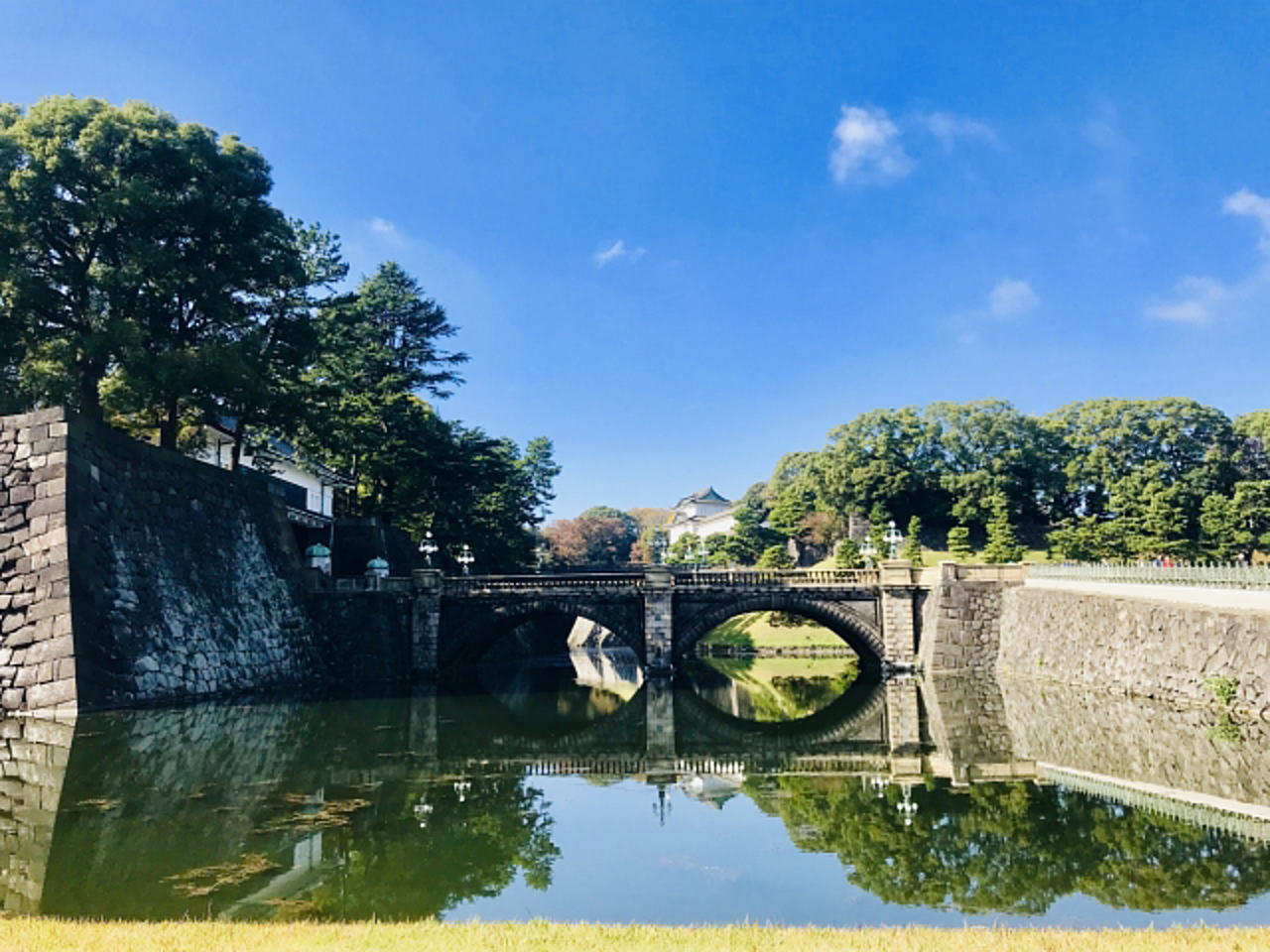 東京の夏