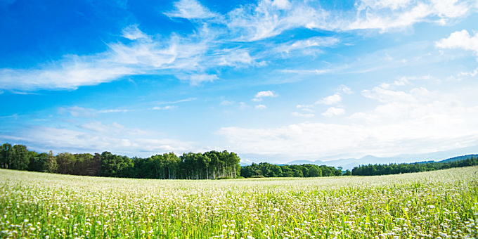 暖冬の後の夏