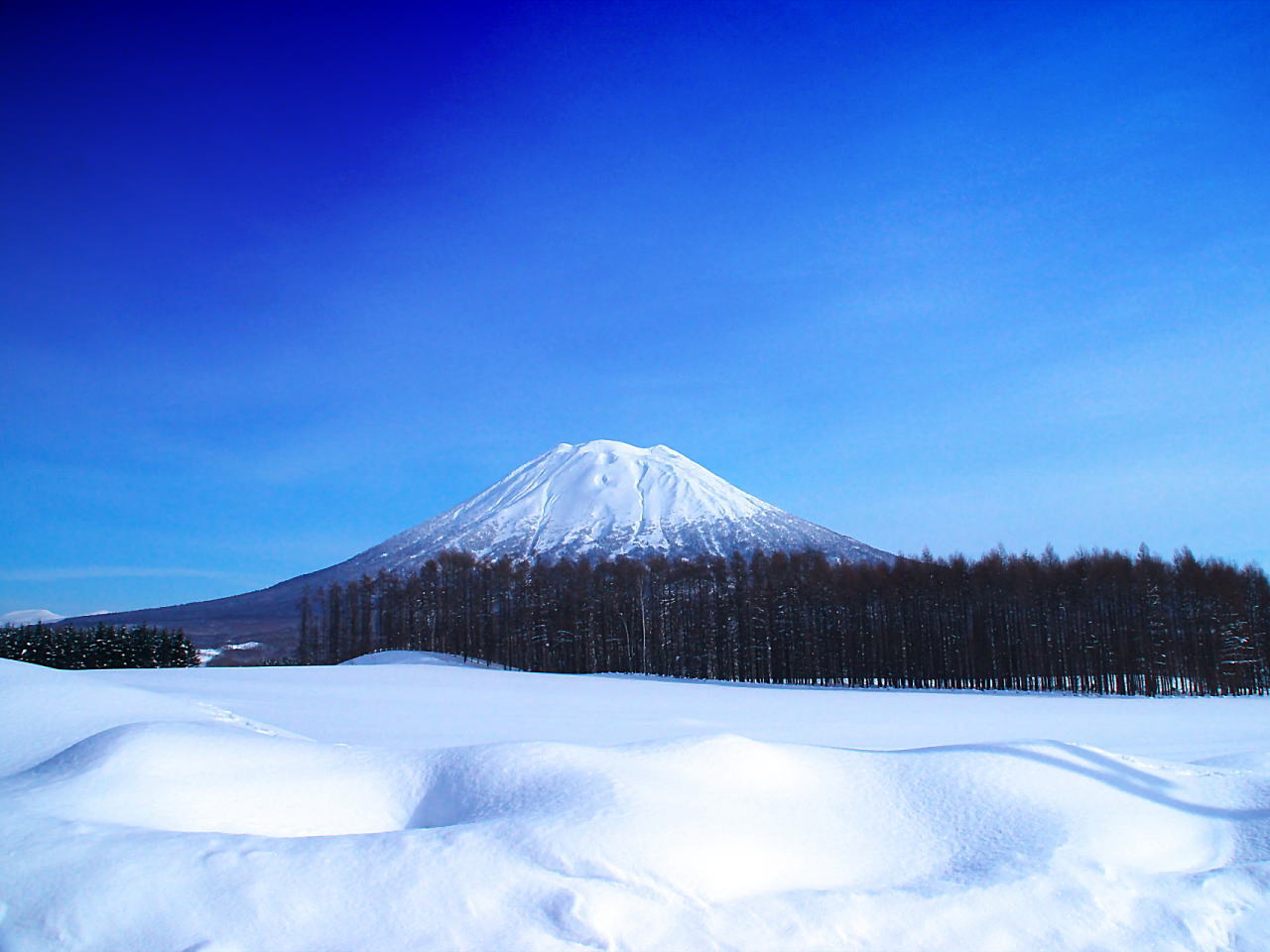 北海道の冬