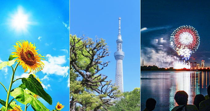 関東・甲信の夏の気温