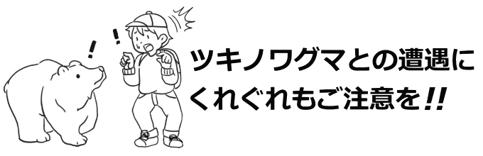 クマとの遭遇にご注意