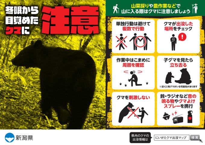 クマとの事故防止（新潟県）チラシ