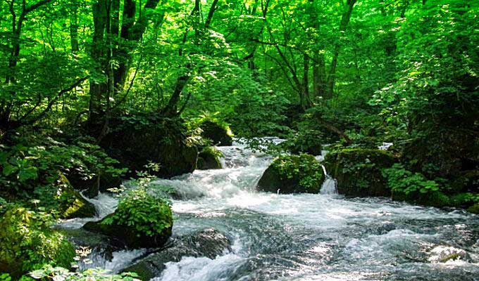 東北の夏の気温予想