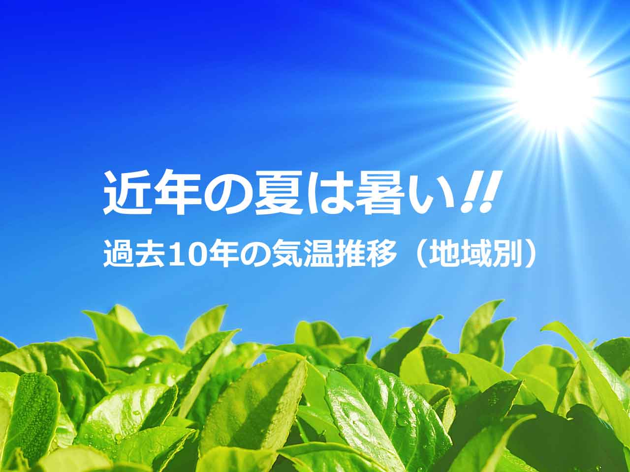 夏の気温推推移（地域別）