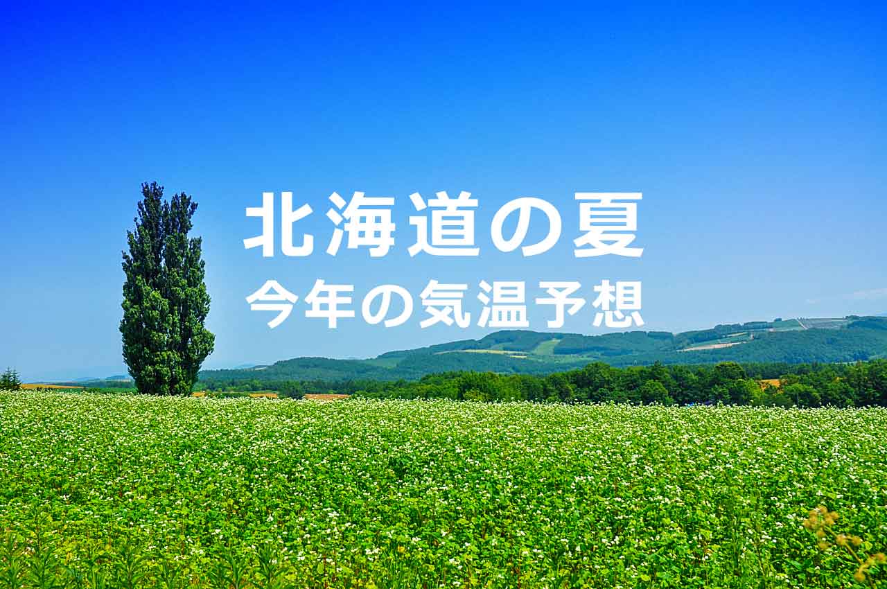 北海道の夏