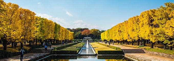 昭和記念公園（東京都）の紅葉