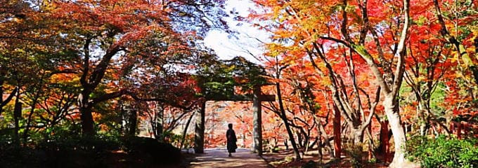 大宰府の紅葉（福岡）