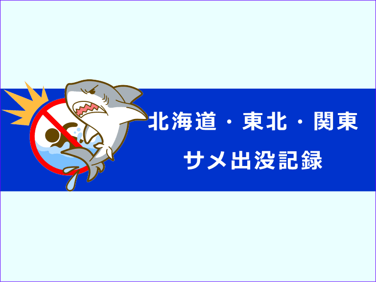 サメの出没記録