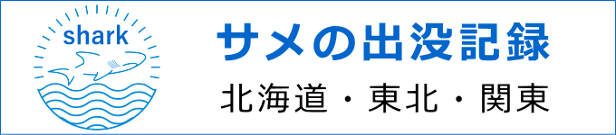 サメの出没場所