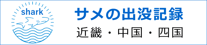 サメの出没場所