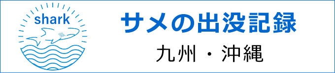 サメの出没場所