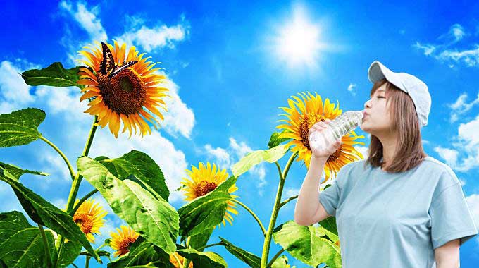 今年の夏は暑い