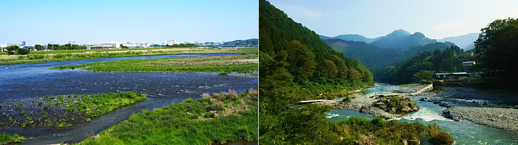多摩川の水難事故