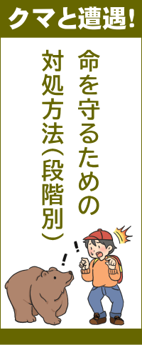 クマと遭遇時の対処方法