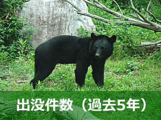 ツキノワグマの出没件数