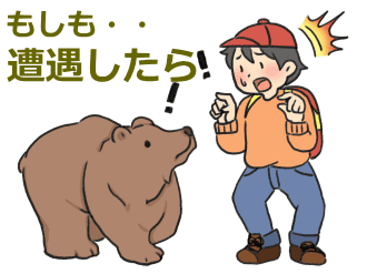 熊と遭遇したら