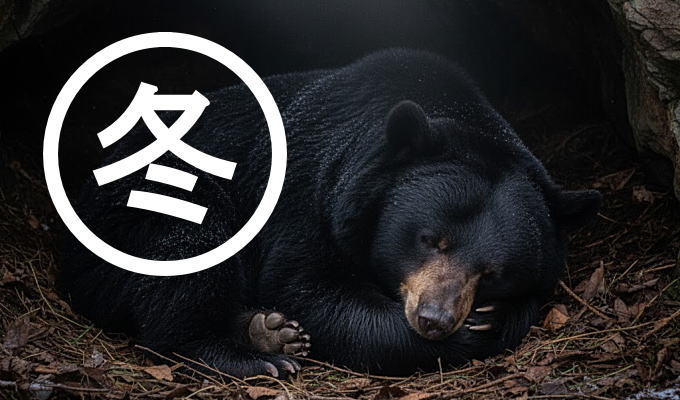 冬眠中のツキノワグマの写真です。