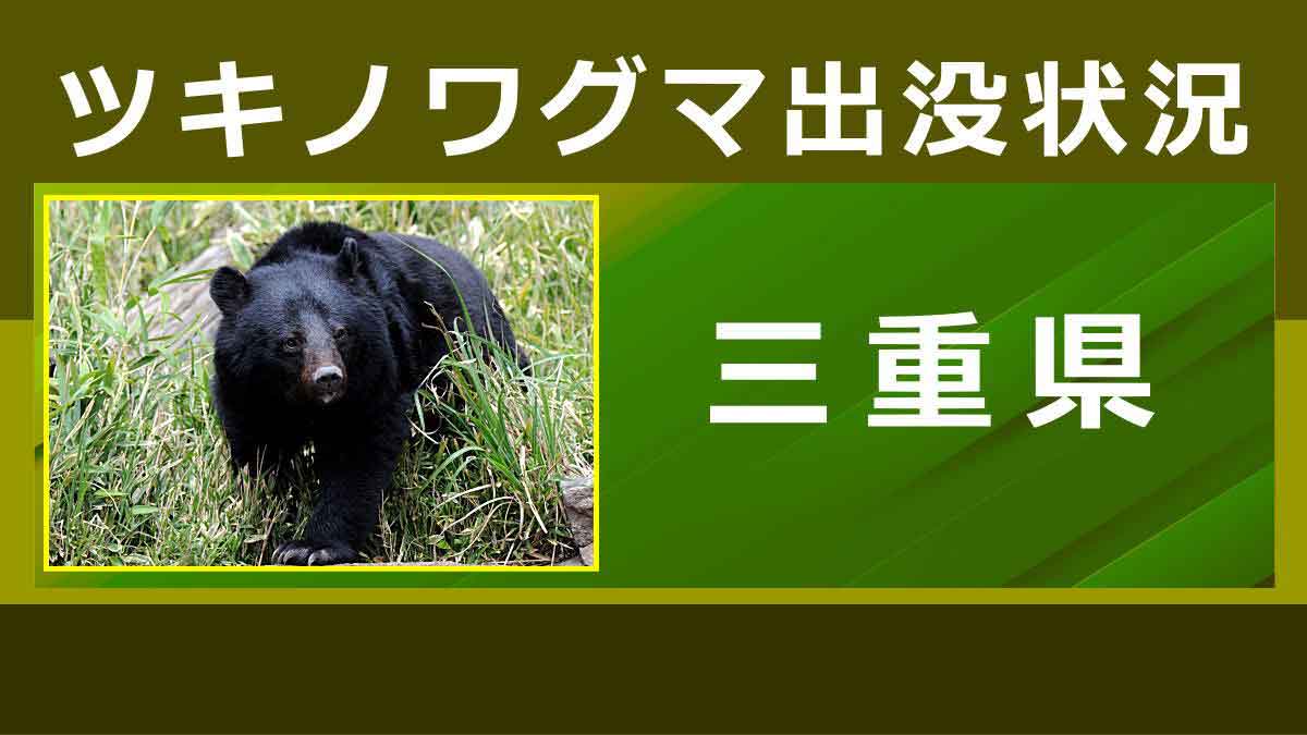 クマの出没状況（三重県）