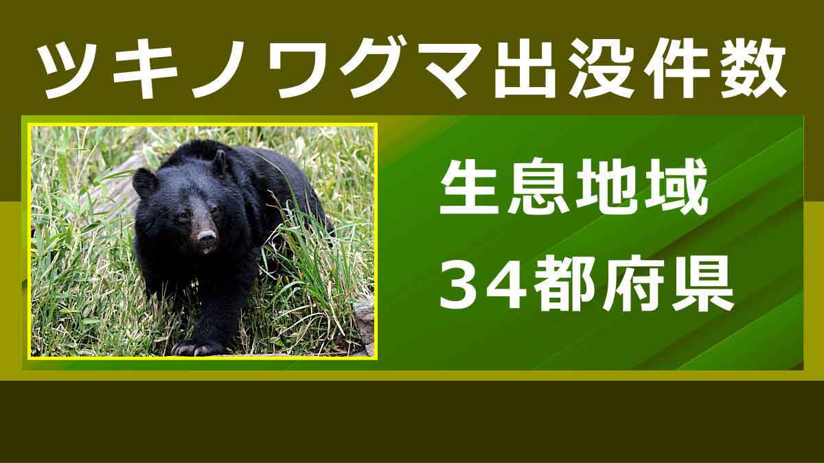 ツキノワグマの出没件数