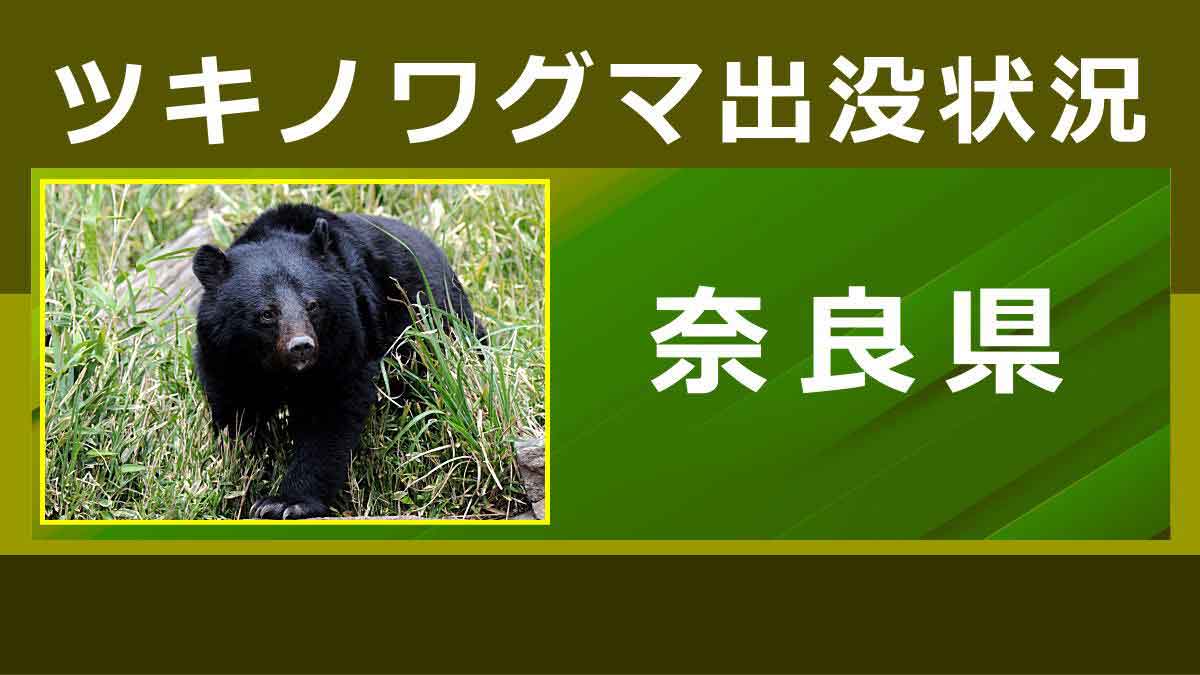 クマの出没状況（奈良県）