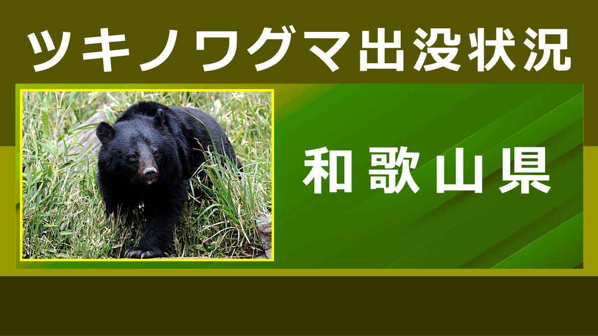 クマの出没状況（和歌山県）