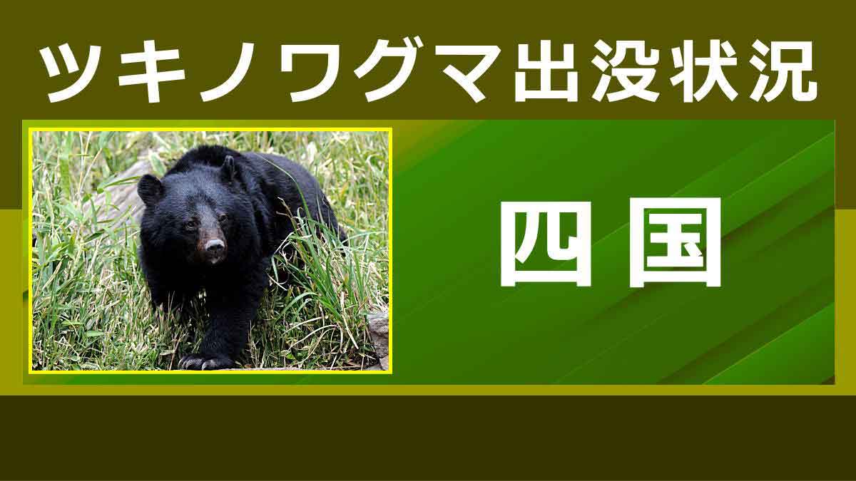 クマの出没状況（四国）