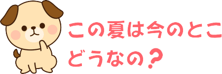 今年の夏は今のとこどうなの?