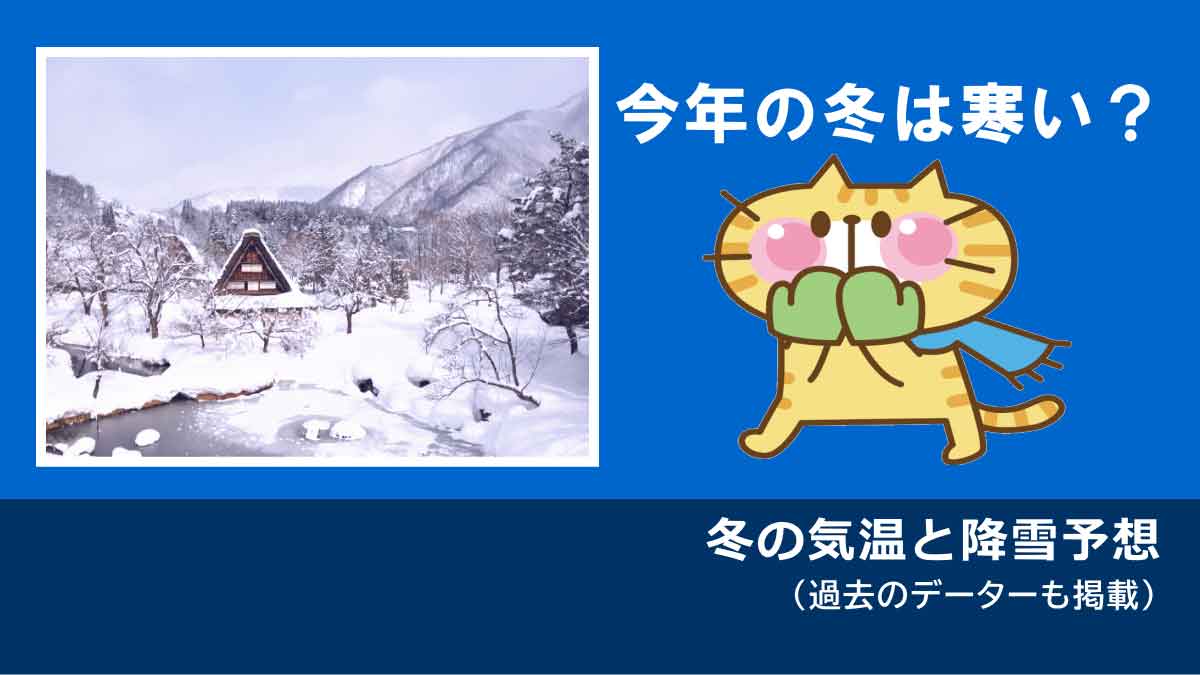 今年 は 寒い