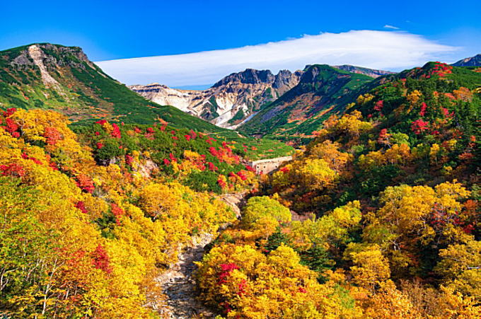 大雪山（北海道）の雄大で見事な紅葉写真です。