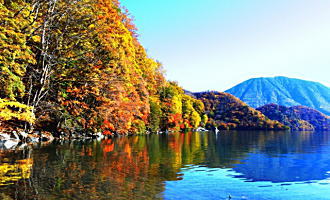 中禅寺湖の紅葉