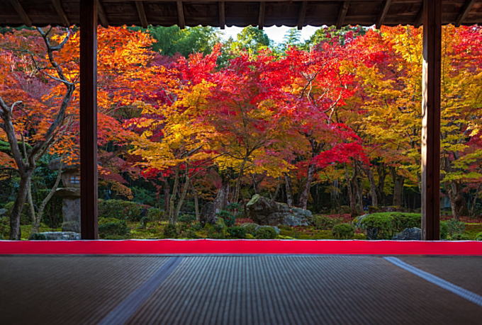 京都（園光寺）の美しい紅葉写真です。