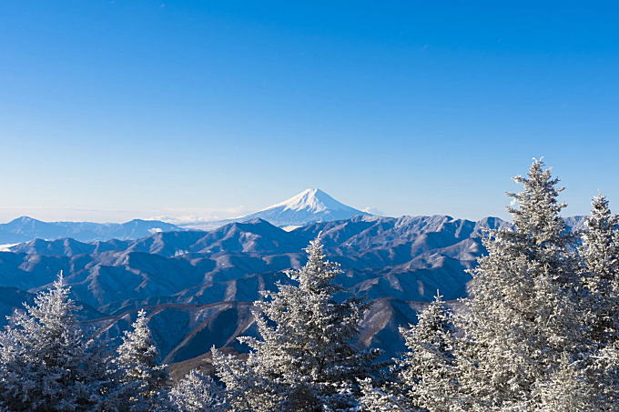 今年の冬は寒い? 今年の冬は寒い?