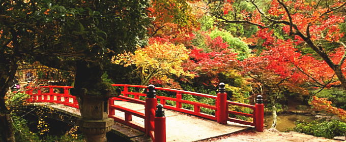 宮島・紅葉谷公園（廿日市市）の紅葉