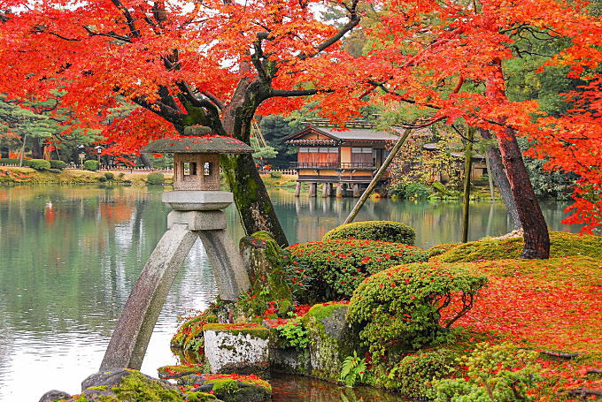 兼六園（金沢市）の鮮やかな紅葉写真です。