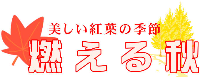 美しい紅葉の季節