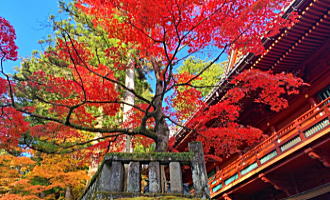 日光の紅葉