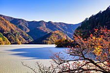 奥多摩湖の紅葉