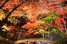 六義園（りくぎえん）の紅葉