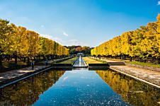 昭和記念公園の紅葉