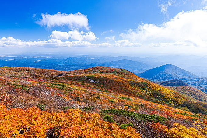 栗駒山を彩る美しい紅葉写真です。